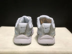Nike V5 RNR prata/branco