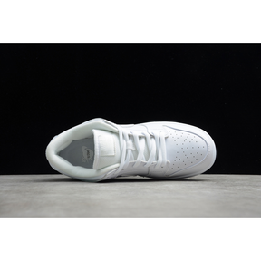 DUNK SB LOW WHITE ICE WHITE