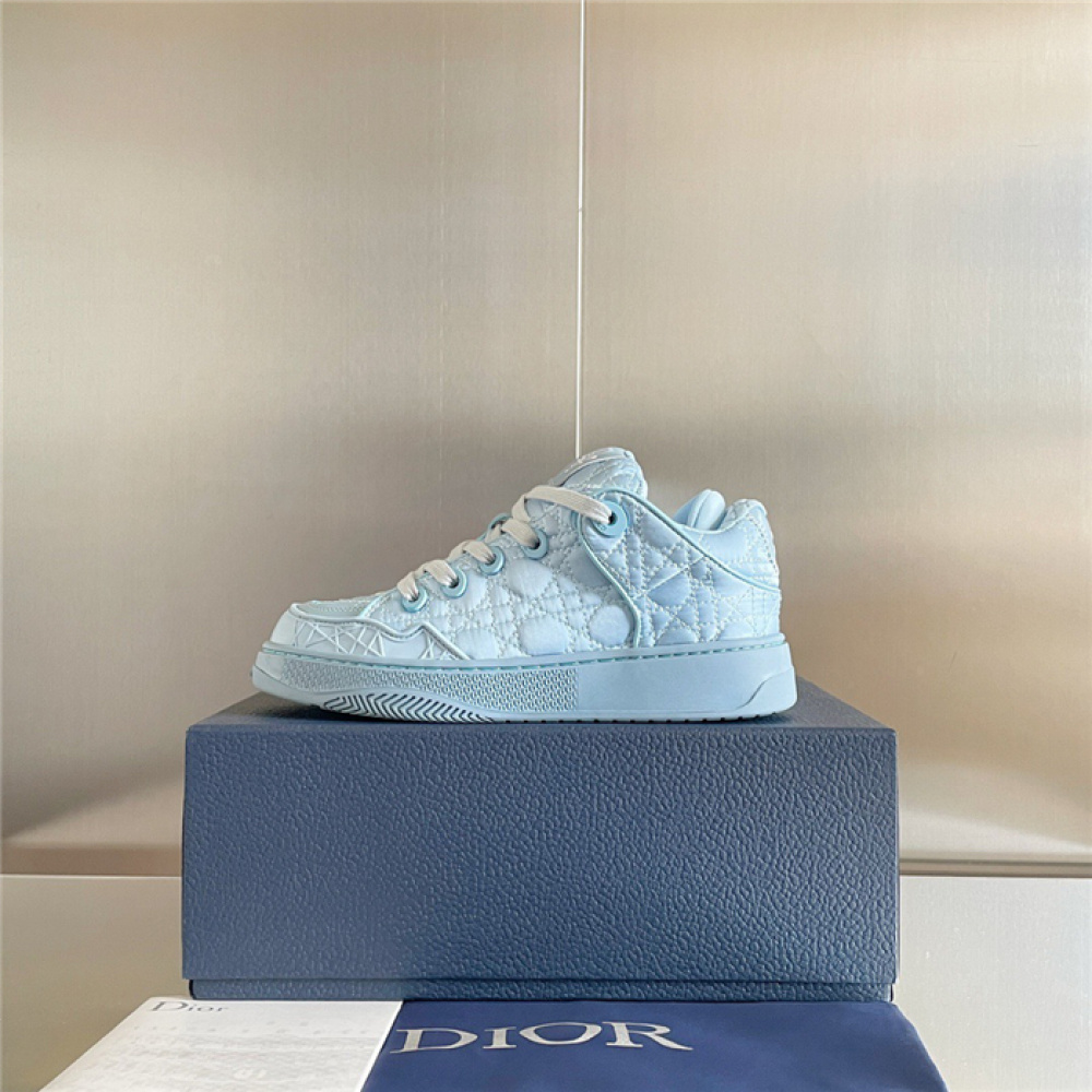 DIOR B9S SKATER ERL BLUE KUMO CANNAGE SATIN